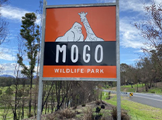 Mogo Zoo 